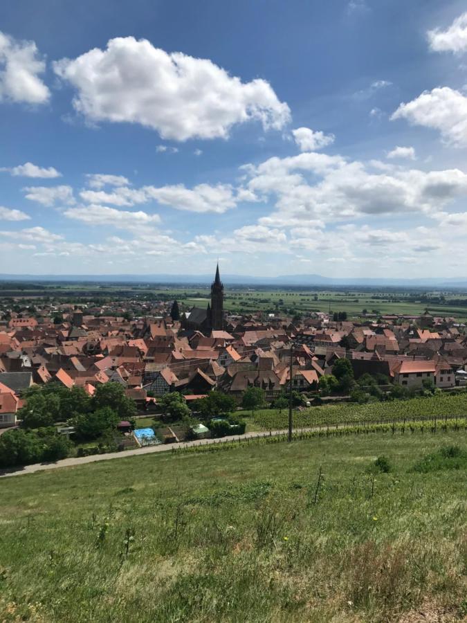 Gite Les Cles Des Vignes Dambach-la-Ville Exterior photo